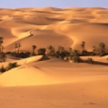Sáhara argelino